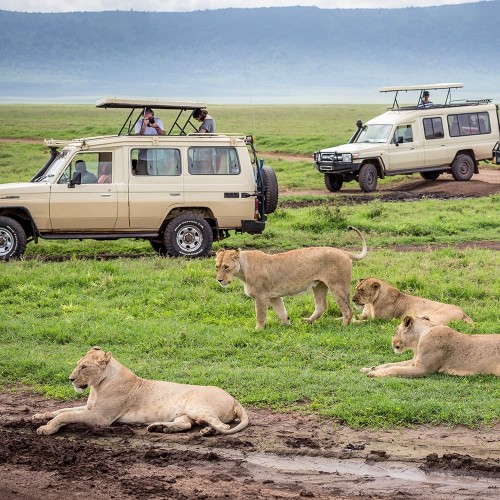Best Tanzania guided tours with local experts 2025
